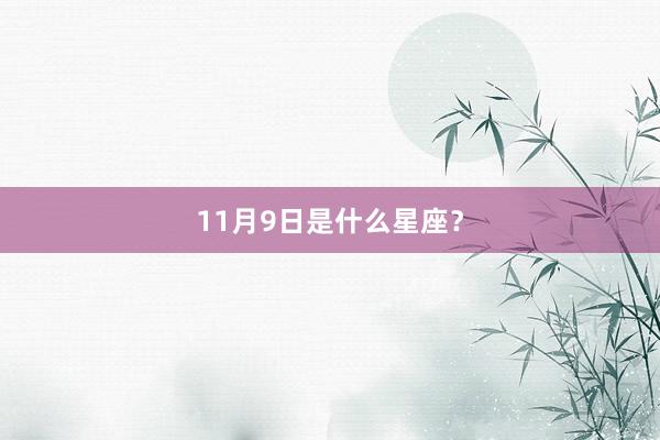 11月9日是什么星座？